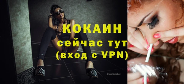 индика Горняк