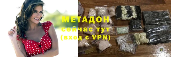индика Горняк