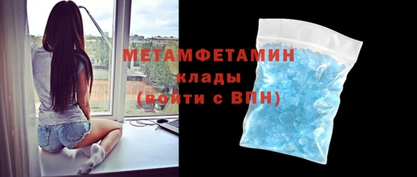 индика Горняк