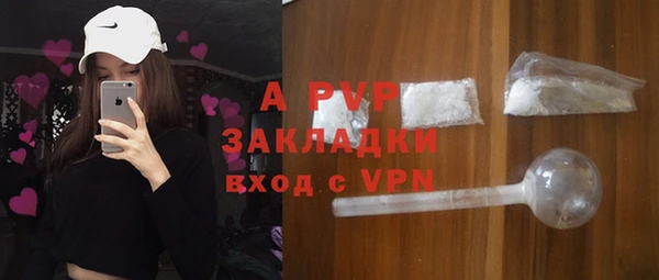 индика Горняк