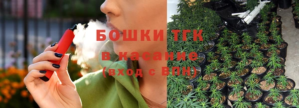 крисы Горнозаводск