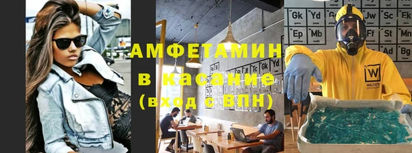 индика Горняк