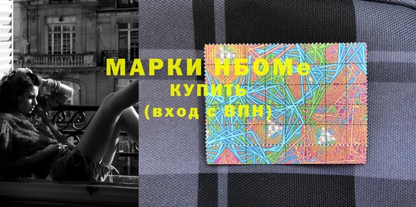 индика Горняк
