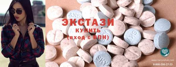 индика Горняк