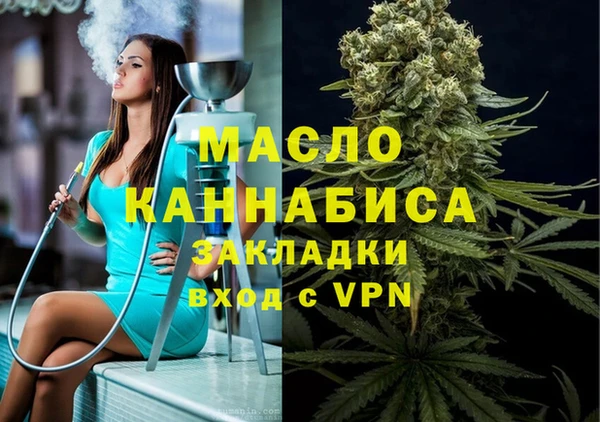 индика Горняк