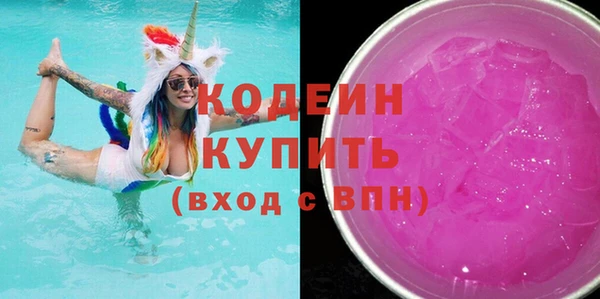 индика Горняк