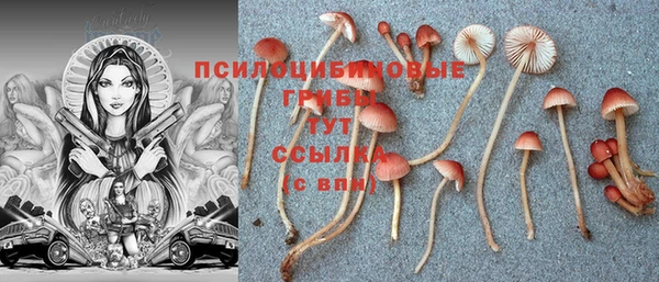 индика Горняк